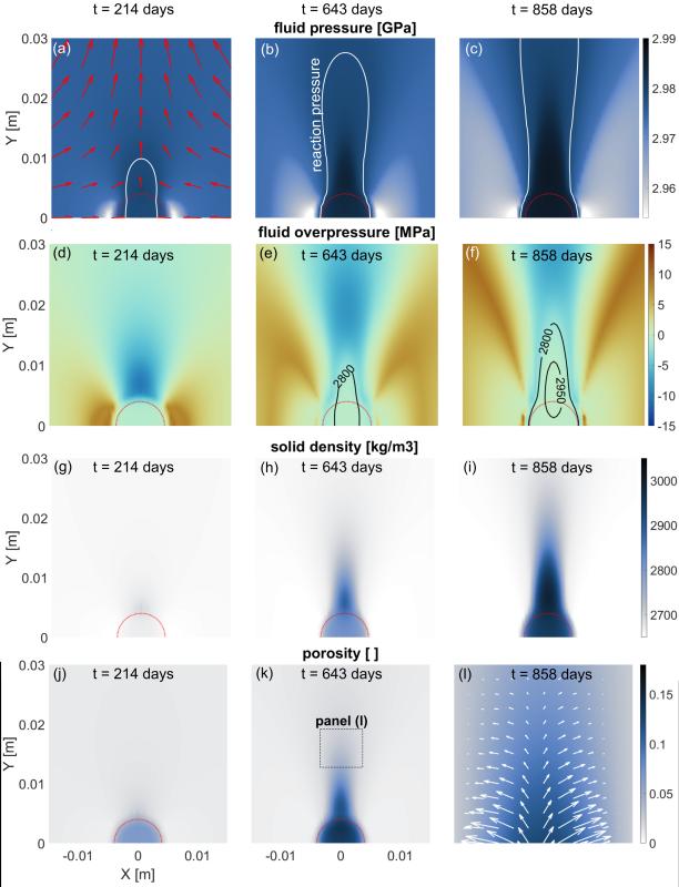 Modeling the Interplay Between Reaction Progress, Deformation and Stress Field Evolution During Antigorite Dehydration: Implications for Intermediate-Depth Seismicity